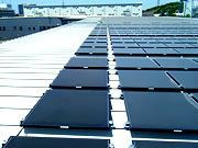 木材開発 市川工場 様